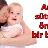 Anne sütünü artıran besinler