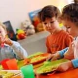 Okul Öncesi Dönem Çocukların Beslenmesi