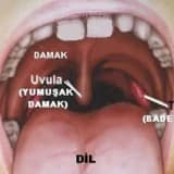 BADEMCİKLER