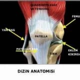 Kondromalazi patella