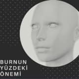 Burnun Yüzdeki Önemi Nedir?