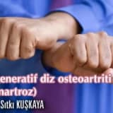 Değeneratif diz osteoartriti (gonartroz)