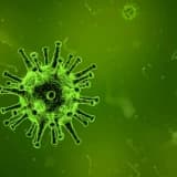 Genital siğilden ve hpv'den nasıl korunulur? Hpv öpüşmeyle bulaşır mı?