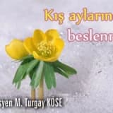 Kış aylarında beslenme