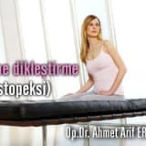 Meme dikleştirme (mastopeksi )