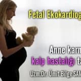 Fetal ekokardiografi: anne karnında kalp hastalığı tanısı