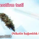 Fagerstörm testi (nikotin bağımlılık testi)