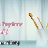 Diş fırçalama tekniği