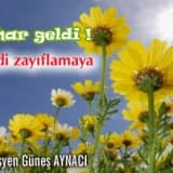 Bahar geldi haydi zayıflamaya