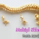 Multipl skleroz (ms)