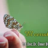 El cerrahisi ve plastik cerrahi