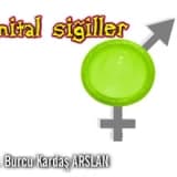 Genital siğiller (kondilom - hpv enfeksiyonu)