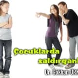 Çocuklarda saldırganlık