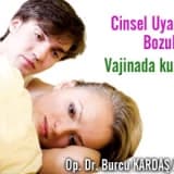 Cinsel uyarılma bozukluğu sebepleri-  vajinada kuruluk
