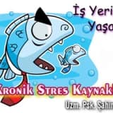 İş yerinde yaşanan kronik stres kaynakları