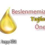 Beslenmemizde yağların önemi