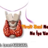 Tiroit bezi nedir ve ne işe yarar ?