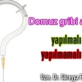 Domuz gribi aşısı yapılmalı mı yapılmamalı mı ?