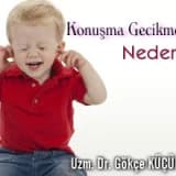 Konuşma gecikmesinin nedenleri