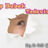 Tüp bebek tedavisi hakkında