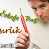 Erkeğe bağlı kısırlık