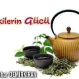 Fonksiyonel çaylar-bitkilerin gücü