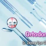 Ortodonti 