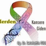 Benlerden kansere giden yol