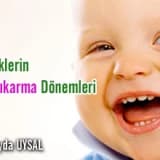 Bebeklerin Diş Çıkarma Dönemleri