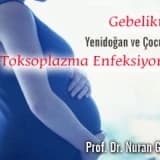 Gebelikte, Yenidoğan ve Çocuklarda Toksoplazma Enfeksiyonları