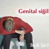 Genital siğiller