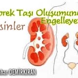 Böbrek taşı oluşumunu engelleyen besinler