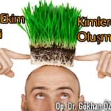 Saç nakli (ekim) ekibi kimlerden oluşmalı ?
