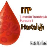 İTP İmmün Trombositopenik Purpura  Hastalığı