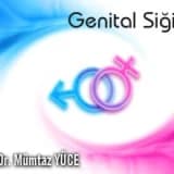 Genital Siğiller ( Condiloma Akimunatum )