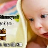 ÇOK BİLİNMEYENLİ BİR DENKLEM:     EK GIDA DÖNEMİ