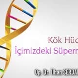 Kök Hücre: İçimizdeki Süpermen