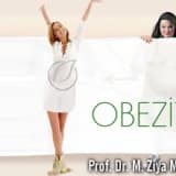 Obezite ve Nedenleri