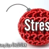 Stres ve Stres Kaynakları