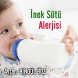 İnek sütü allerjisi
