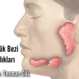Tükürük bezi hastalıkları