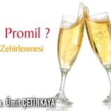 Kaç Promil ? Alkol Zehirlenmesi