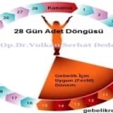 Normal Adet Döngüsü ve Gebelik Başlangıcı