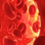 Prp (zenginleştirilmiş trombosit tedavisi)