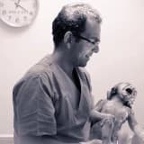 Op. Dr. Filip Taşhan