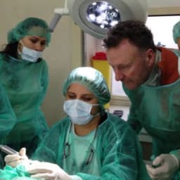 Dr. Dt. Saniye Özen Haykırı