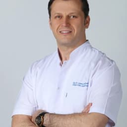 Prof. Dr. Levent Akçay