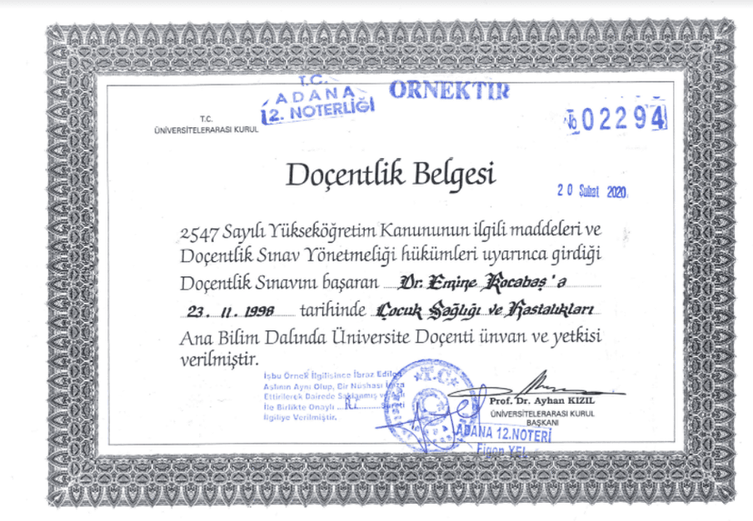 Prof. Dr. Emine Kocabaş