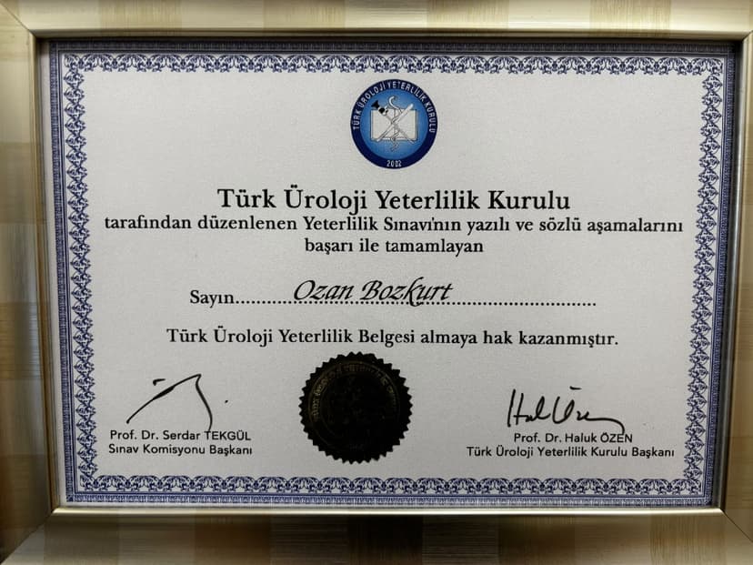 sertifika