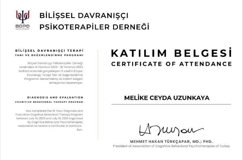 HAKAN TÜRKÇAPAR BİLİŞSEL DAVRANIŞÇI TERAPİ TANI VE DEĞERLENDİRME PROGRAMI